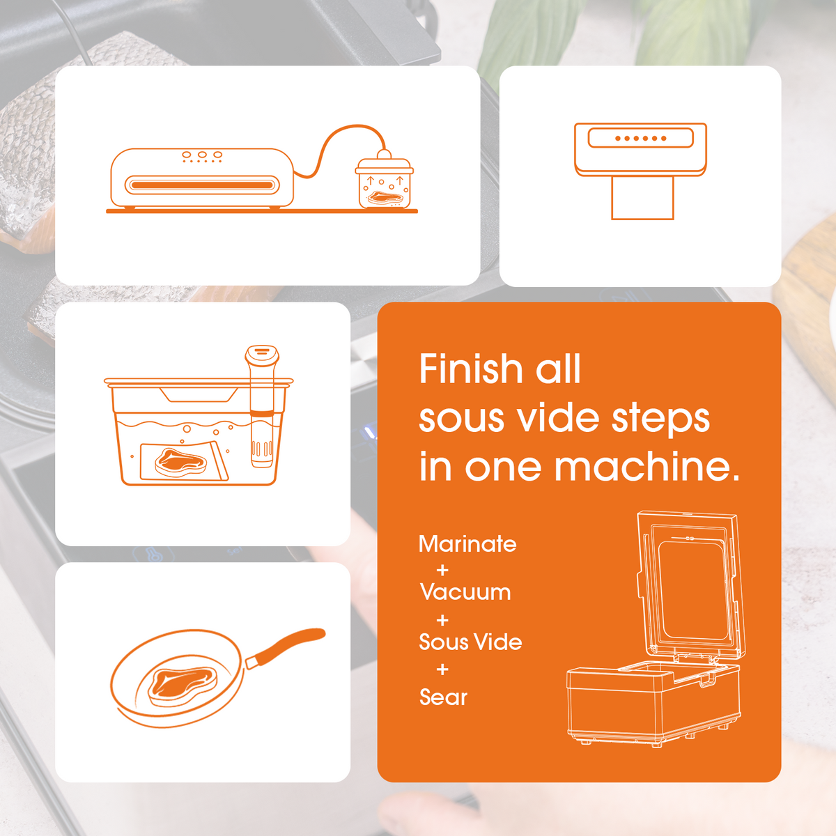 Neovide Waterless Sous Vide Cooker – Vesta Precision Neovide Waterless Sous Vide Cooker – Vesta Precision