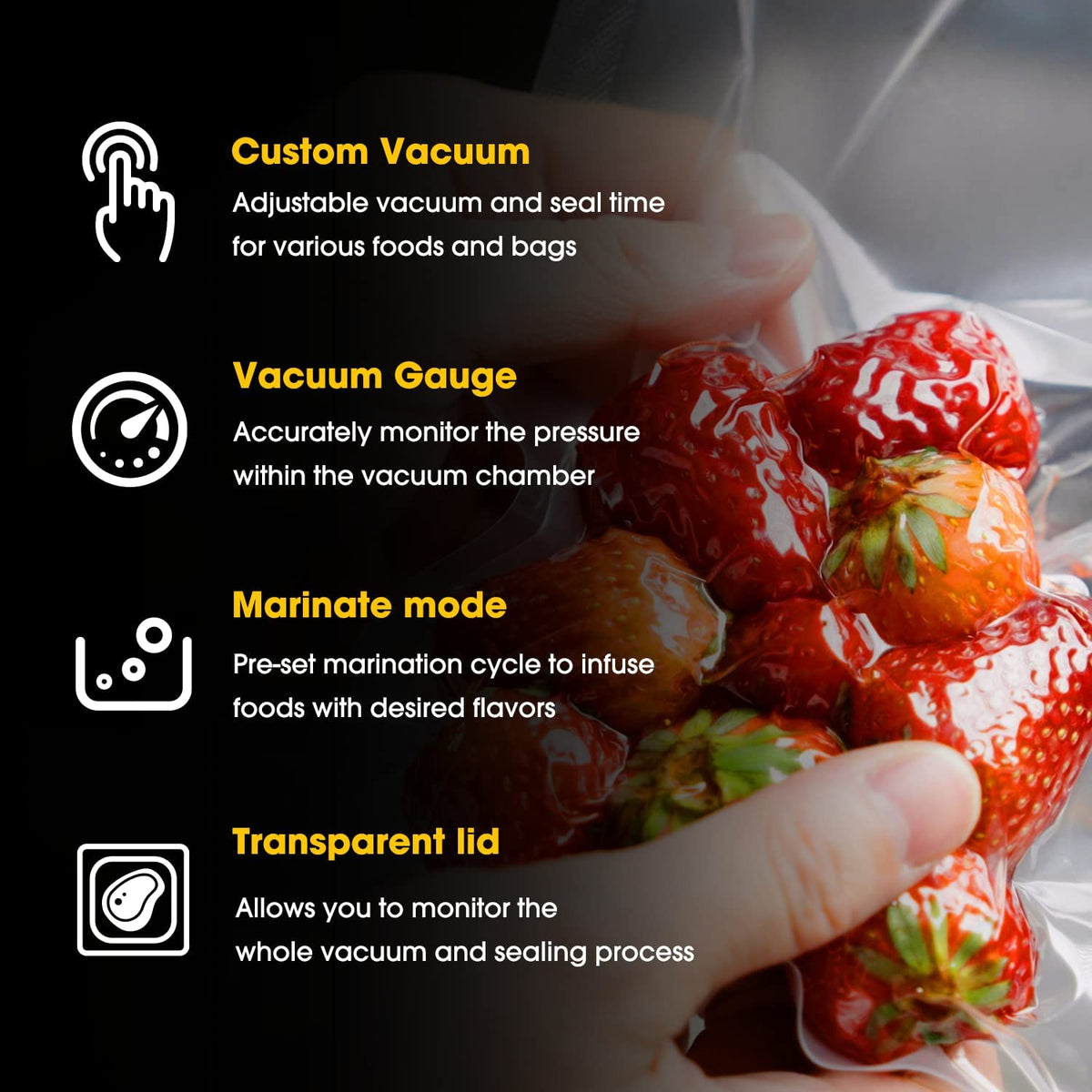 A picture showing the primary features - custom vacuum, vacuum gauge, marinate mode, and a transparent lid.