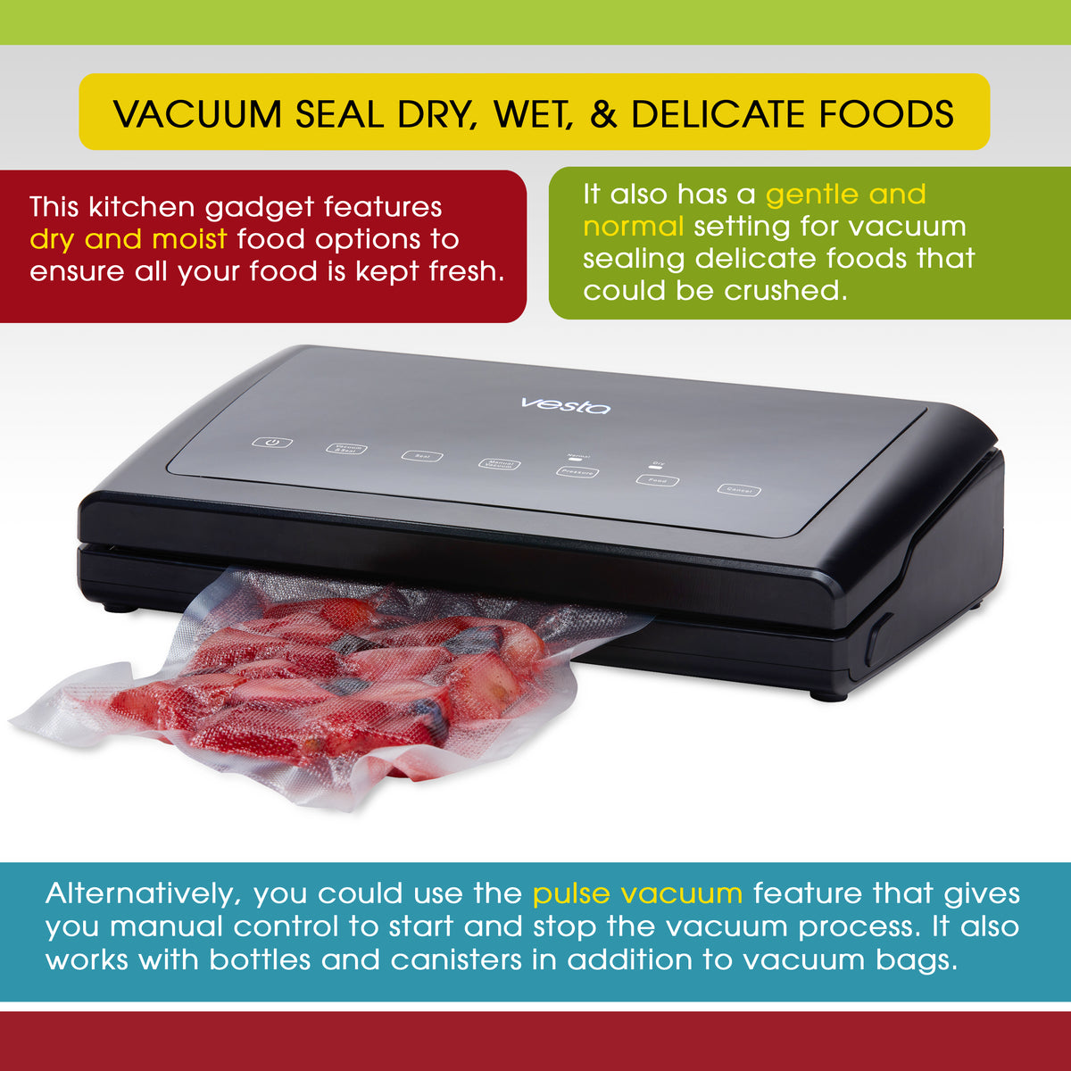 An infographic describing the main features of the V11 Vac 'n Seal Elite - dry and moist seal options, dry and normal vacuum options, and a pulse vacuum option. 