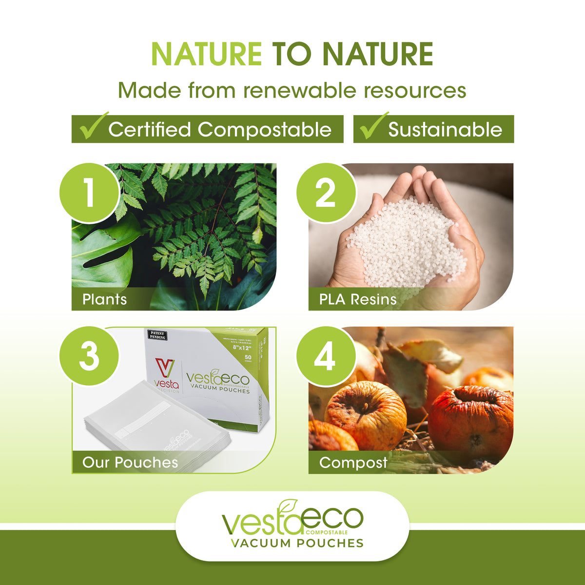 An infographic that shows how certified compostable VestaEco bags and rolls come from plants to PLA resin to the VestaEco certified commercially compostable flat chamber vacuum seal bags and then to compost.